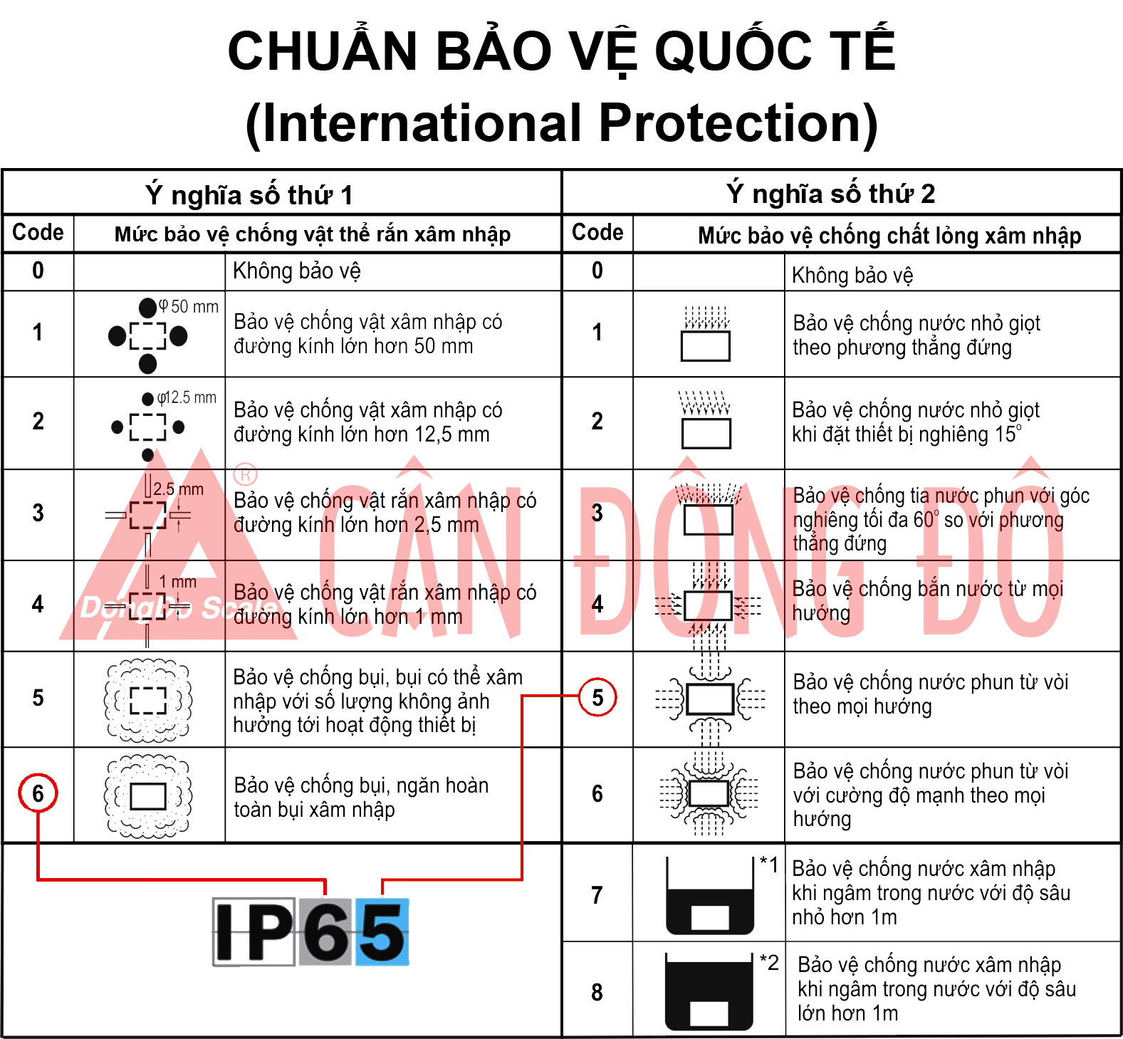 Tiêu chuẩn IP là gì và cách hiểu mã IP?